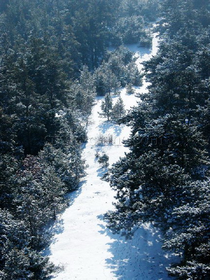 photo of Saibei Skiing Field1