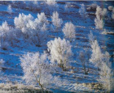 photo of Saibei Skiing Field3