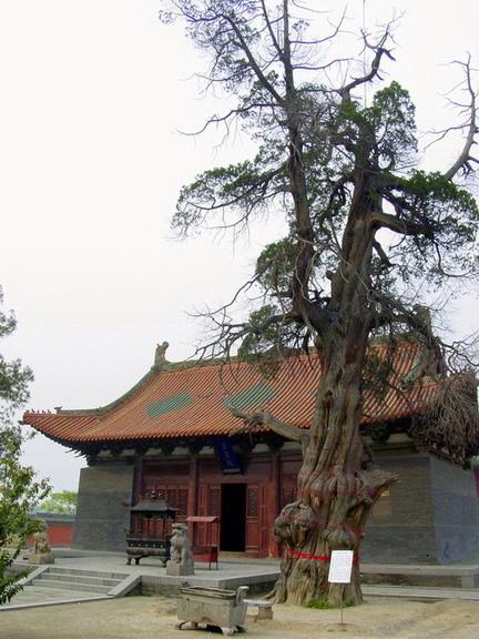 photo of Jidu Temple9