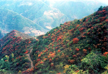 photo of Mountain Wangwu Scenic Area13