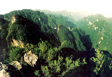 photo of Mountain Wangwu Scenic Area14