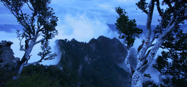 photo of Mountain Shennong Resort4