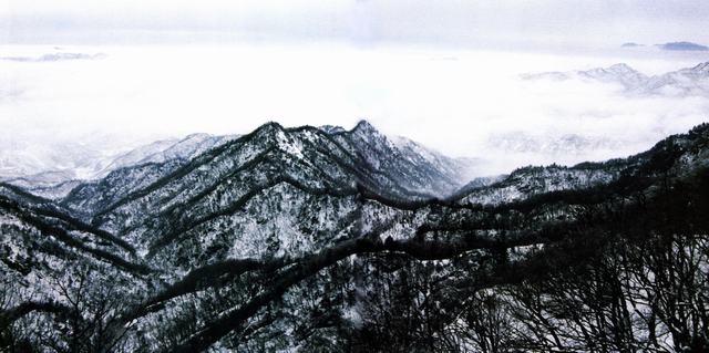 photo of Baotianman Nature Reserve Area6