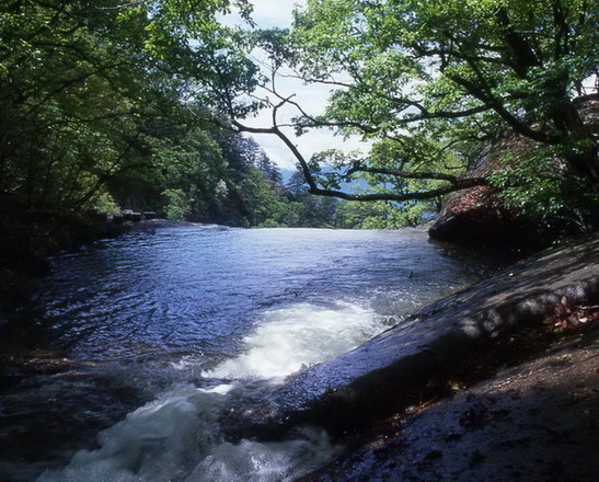 photo of Baotianman Nature Reserve Area9