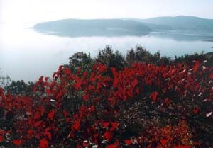 photo of Boshan Lake Resort3