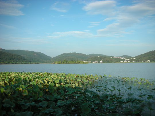 photo of Boshan Lake Resort14