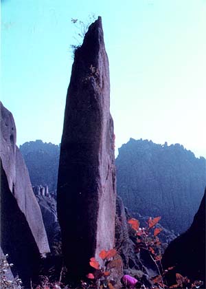 photo of Jianyu Stone