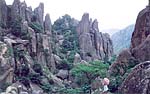 photo of Chaya Stone Forest