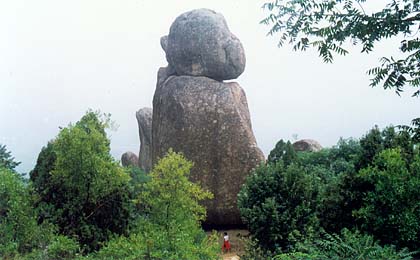 photo of The Stone Monkey