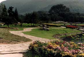 photo of AUTUMN GARDEN