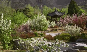 photo of Crabapple Garden