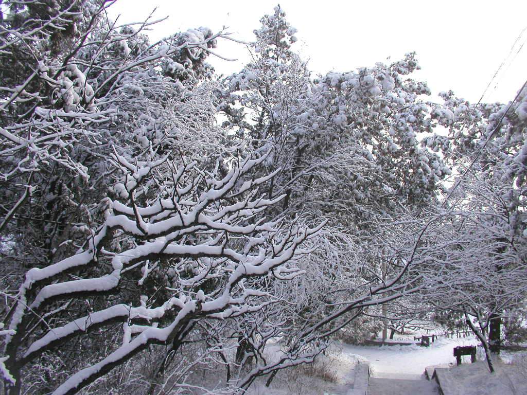 photo of Sunny Snow at Western Mountain3