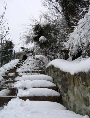 photo of Sunny Snow at Western Mountain2