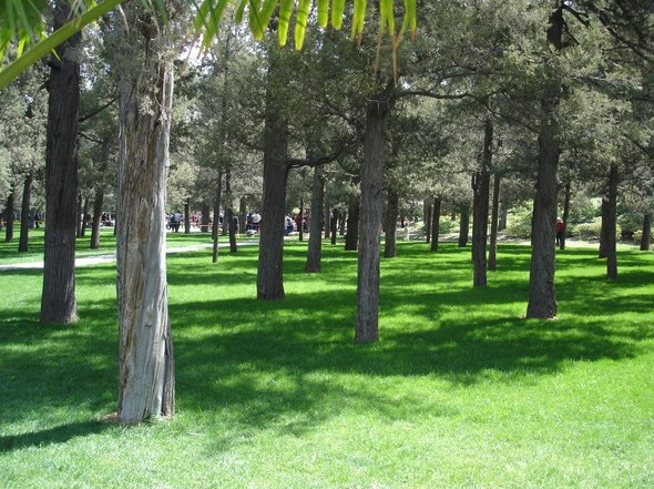 photo of Jingshan Hill Park6