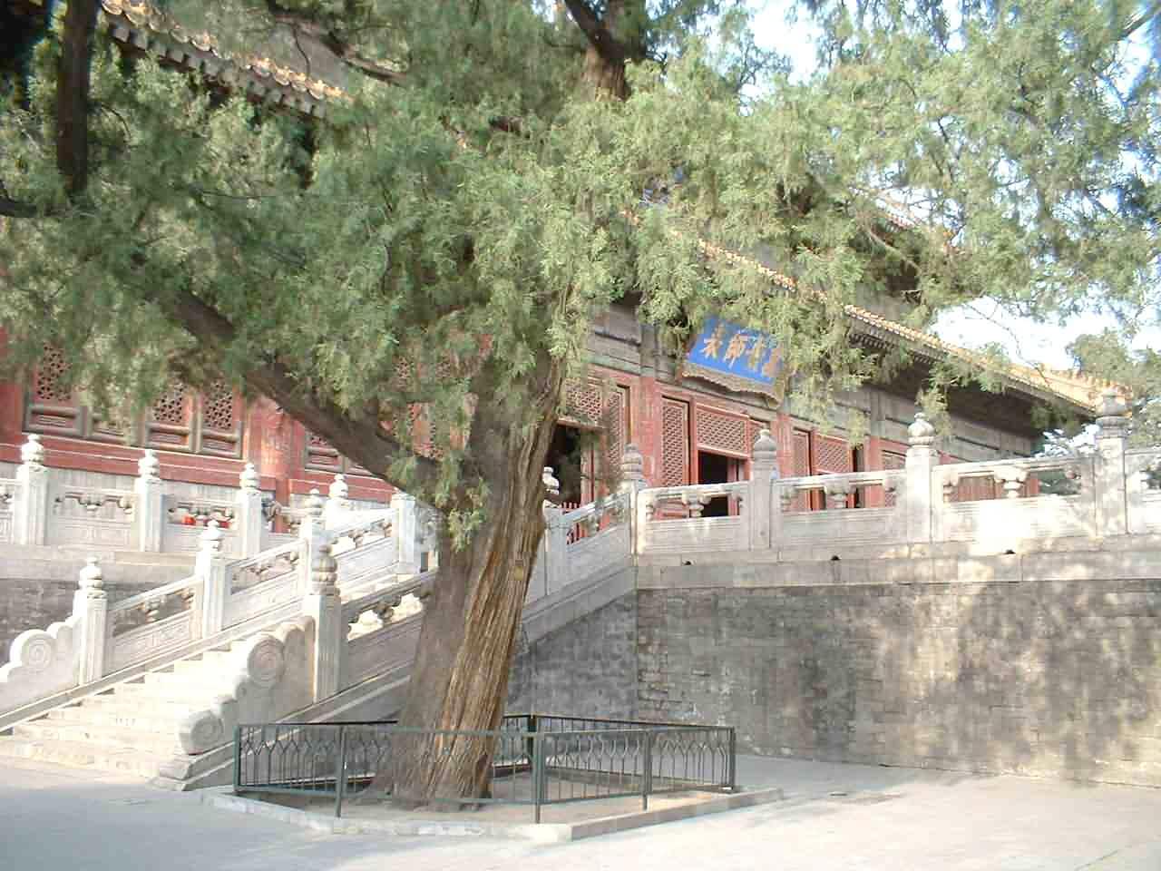 photo of Ming Tombs5