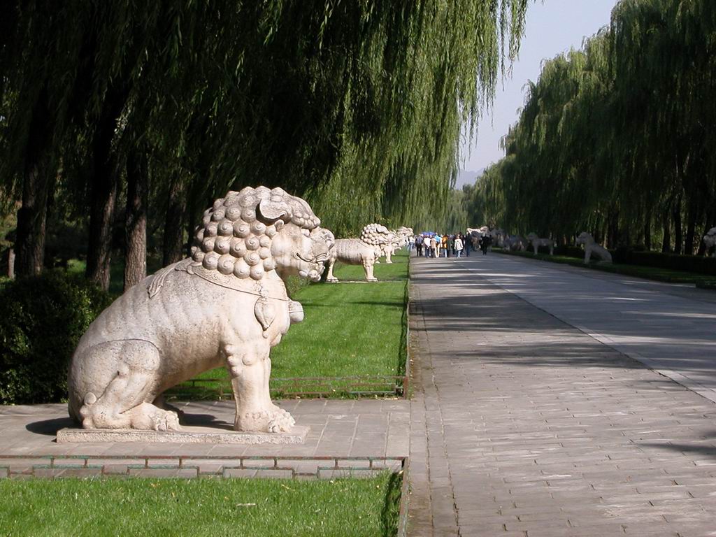 photo of the Divine Avenue