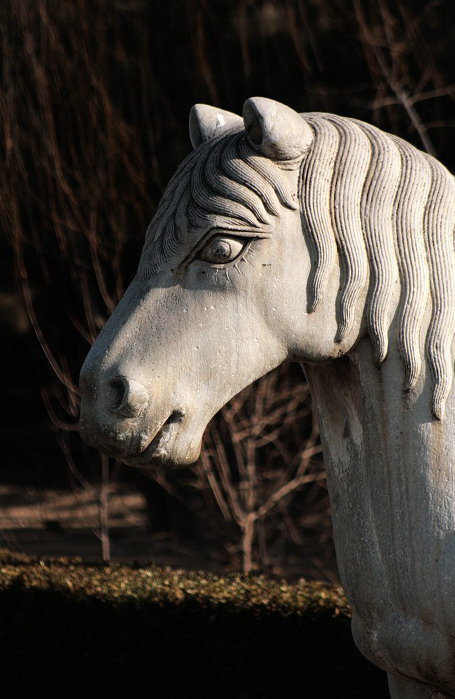 photo of stone statue of animal3