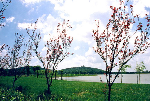 photo of Sheshan National Holiday Resort7