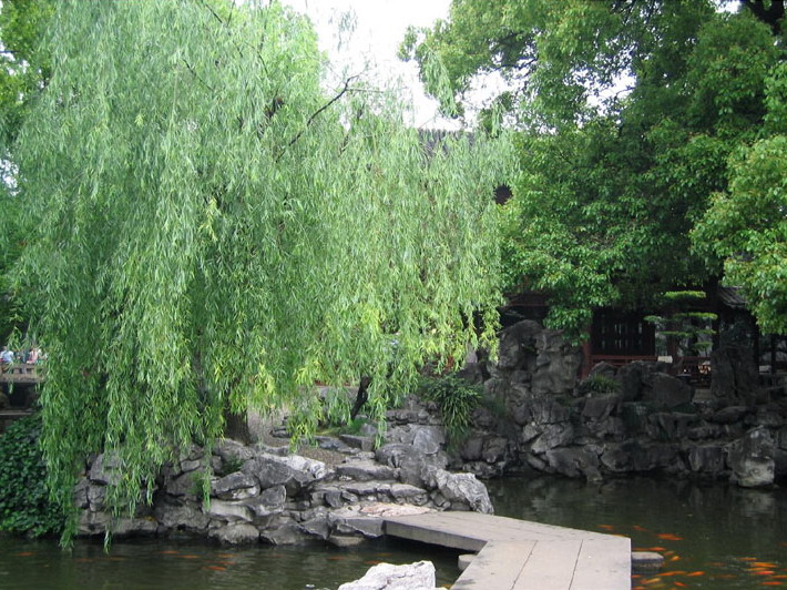 photo of Yu Garden18