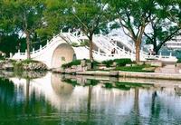 photo of Twin-Bridge of Aged Banyan3