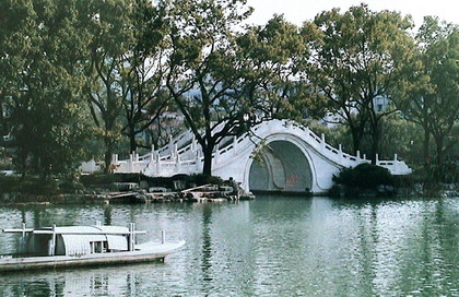 photo of Twin-Bridge of Aged Banyan4