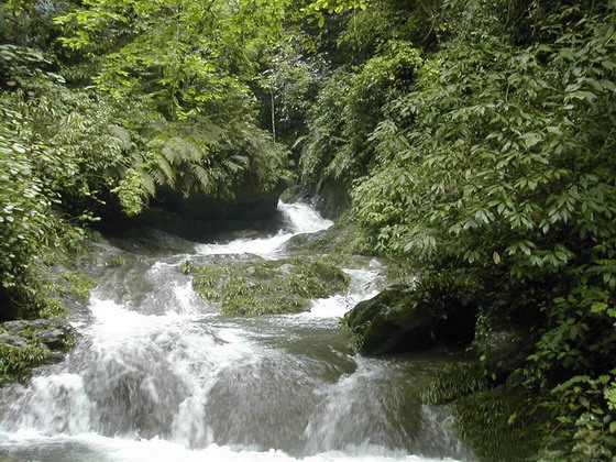 photo of Gudong Waterfall3