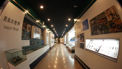 photo of Tianjin Natural History Museum3