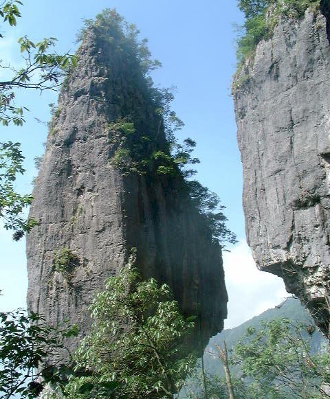 photo of Golden Buddha Mountain Scenic Zone4