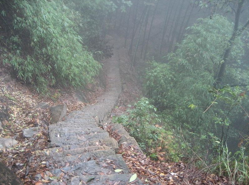 photo of Jinyun Mountain