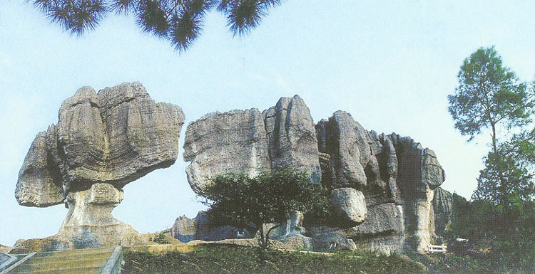 photo of Wansheng Stone Forest9