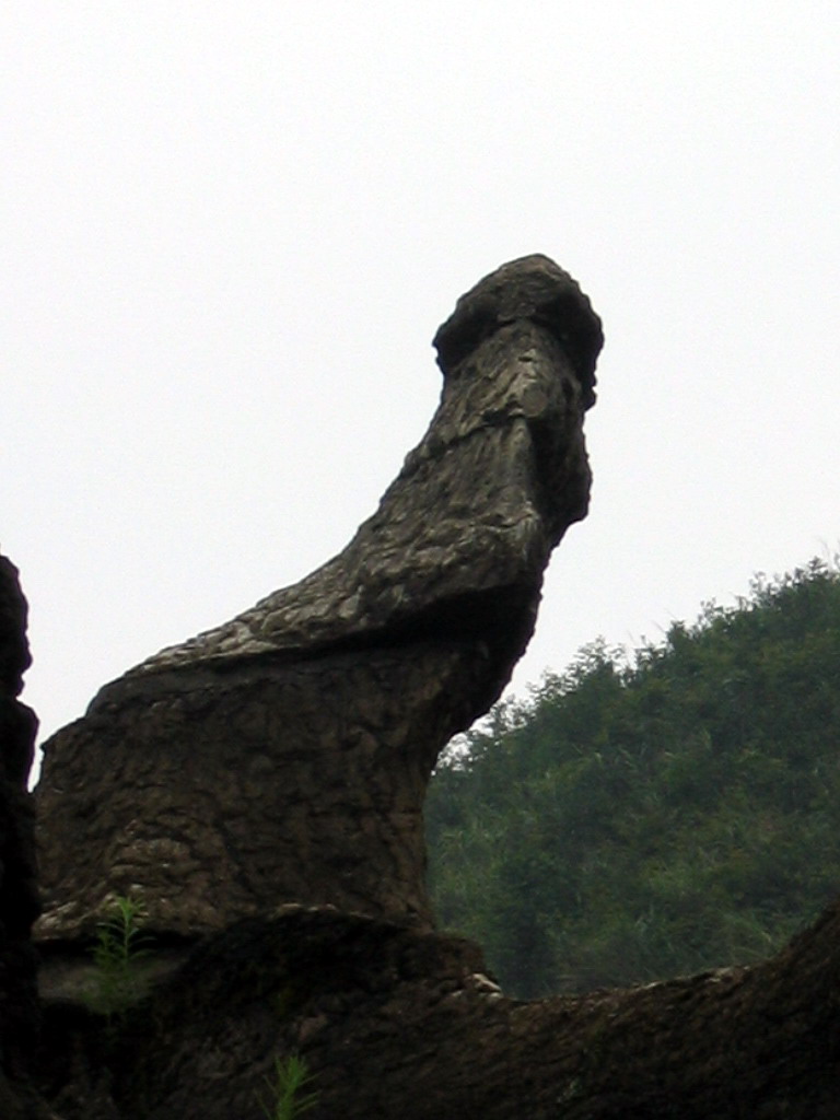 photo of Wansheng Stone Forest12