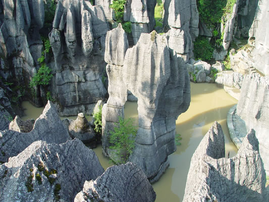 photo of Wansheng Stone Forest22