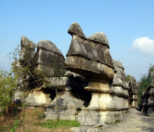 photo of Wansheng Stone Forest26