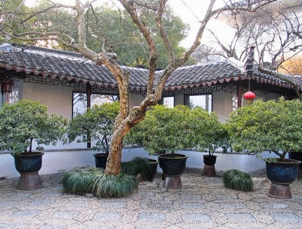 photo of Yi Garden11