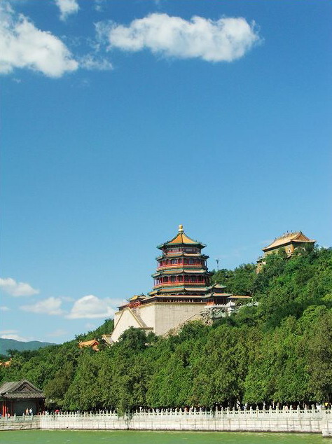 photo of Longevity Hill3