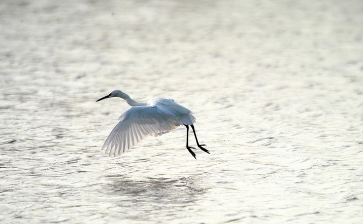 photo of Dongting Lake2