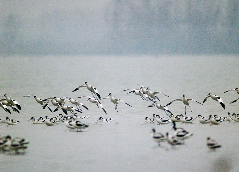 photo of Dongting Lake3