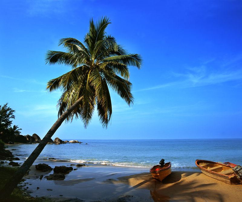 Tropical Seashore Scenic Zone of Sanya City7