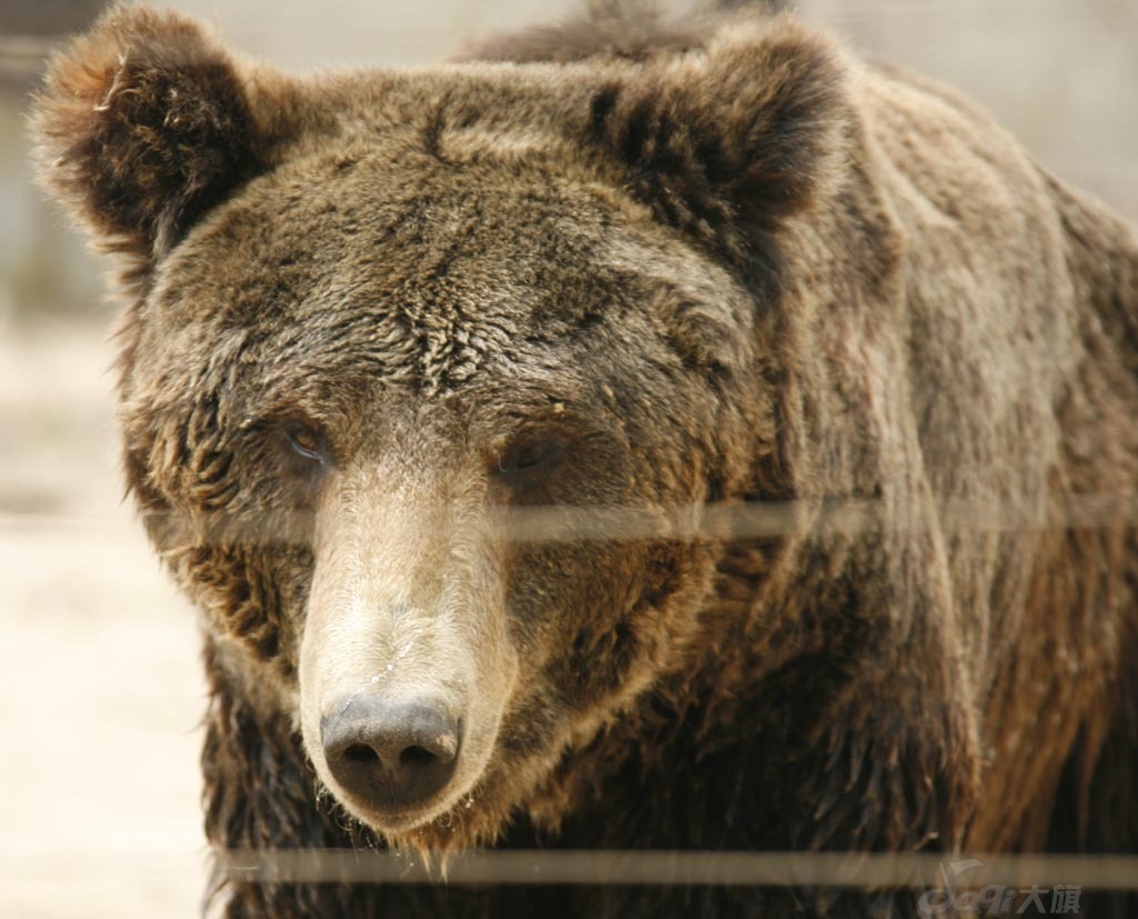 Qinhuangdao Wild Animal Zoo4