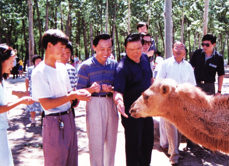 Qinhuangdao Wild Animal Zoo7