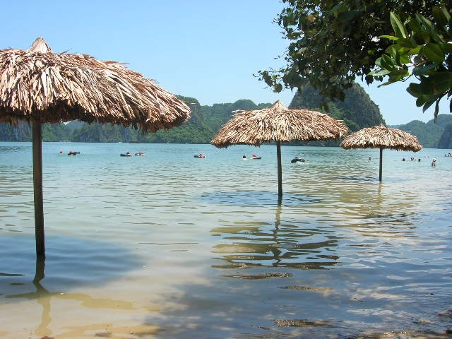 Travel to Halong Bay in Vietnam