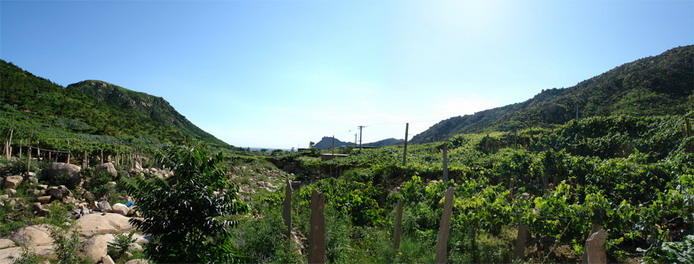 Changli Grape Valley1