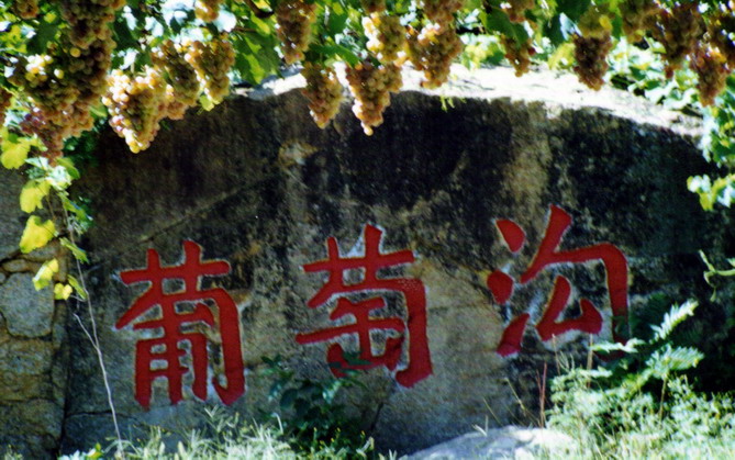 Changli Grape Valley3