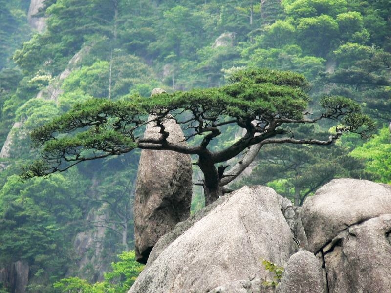 photo of Mountain Huangshan