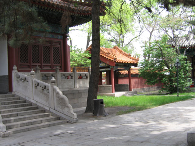 the Confucian Temple5