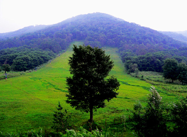 Yu Quan Hunting Area8