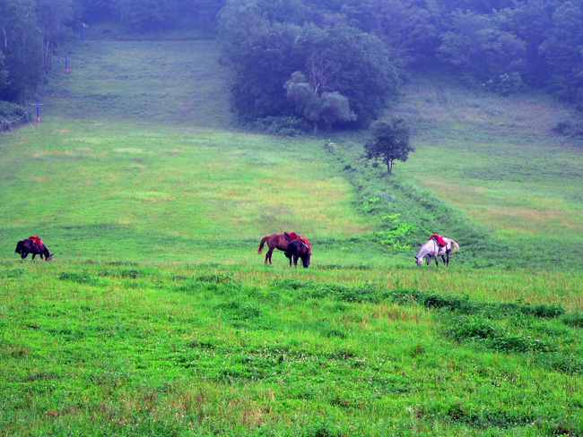 Yu Quan Hunting Area9