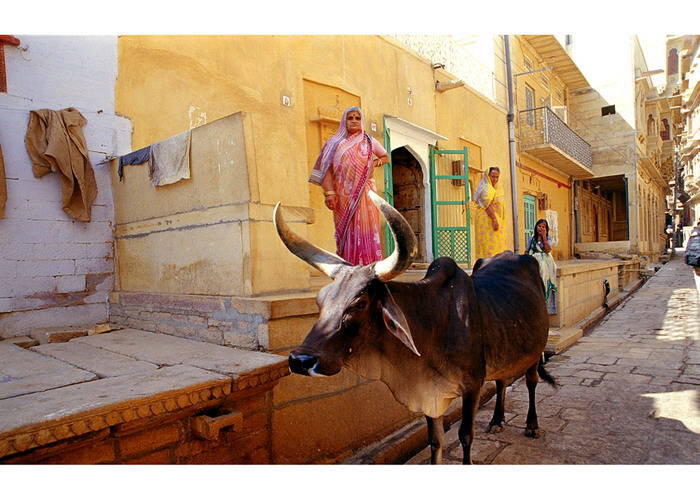 Travel to Jaisalmer