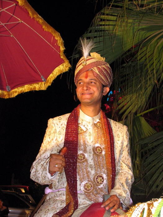 Indian Wedding Party