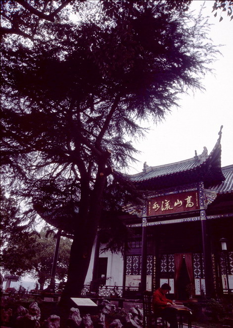 Ancient Lute Pavilion8